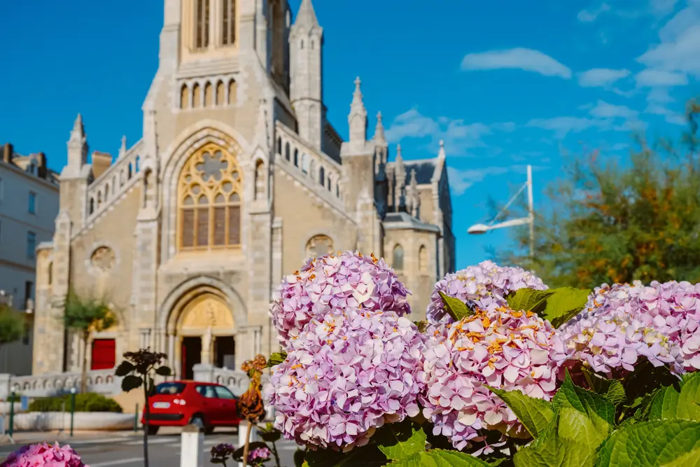 Façade of a neo-Gothic church in pale stone, with pink hydrangeas in the foreground